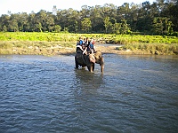 Elephant ride in Sauraha.